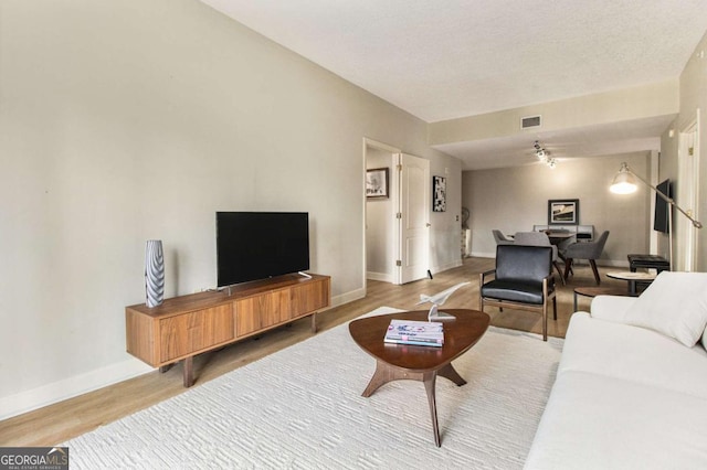 living room featuring wood-type flooring