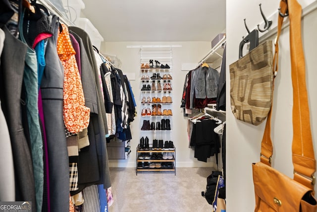 spacious closet with light carpet