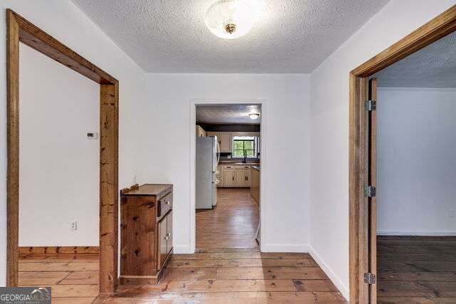 hallway with a textured ceiling, light hardwood / wood-style flooring, and sink