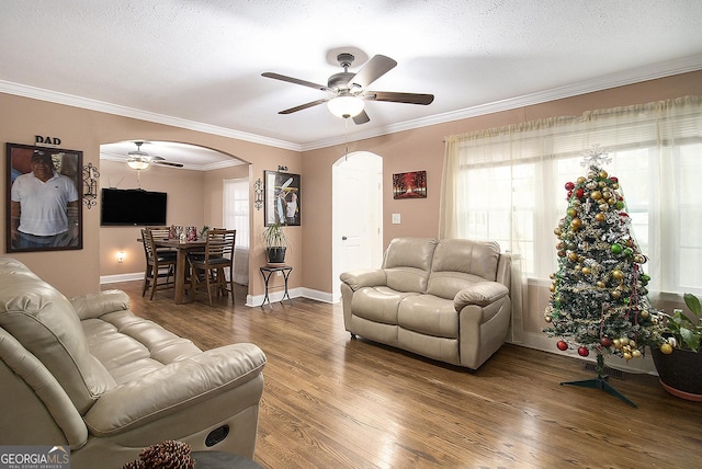 living room featuring ceiling fan, crown molding, a textured ceiling, and hardwood / wood-style flooring