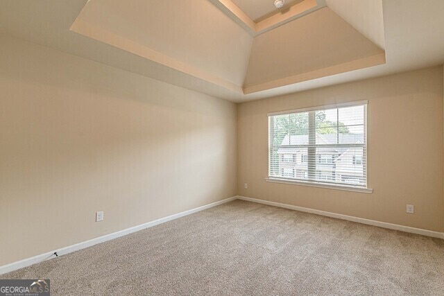 carpeted empty room featuring a raised ceiling