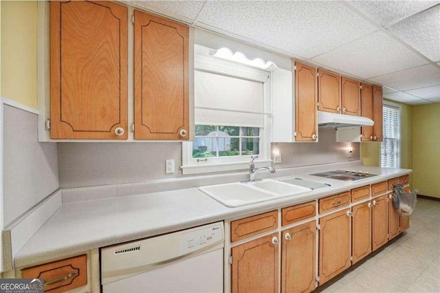 kitchen featuring dishwasher, sink, a drop ceiling, and electric stovetop