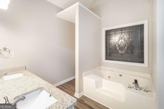 bathroom with wood-type flooring, vanity, and a bathing tub