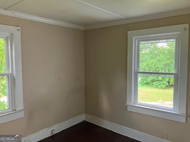 empty room featuring a healthy amount of sunlight and crown molding