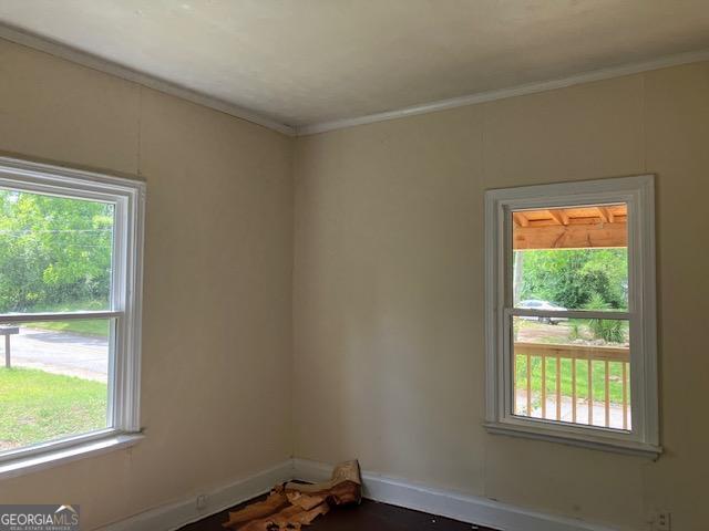 spare room with a wealth of natural light and ornamental molding