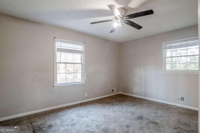 spare room with carpet floors, a healthy amount of sunlight, and a textured ceiling