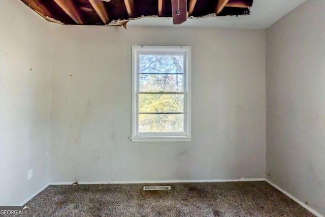 spare room featuring carpet flooring