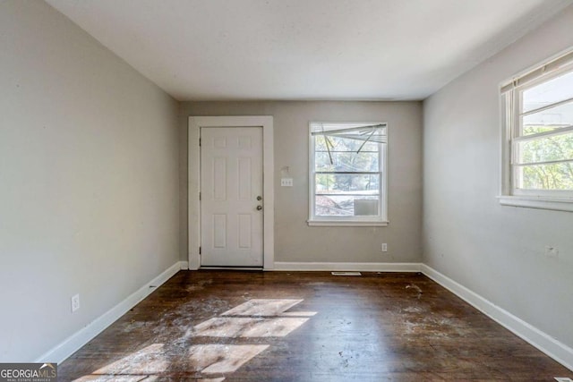 interior space featuring dark hardwood / wood-style flooring and plenty of natural light