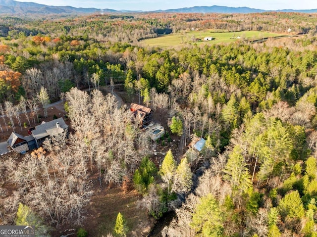 birds eye view of property featuring a mountain view