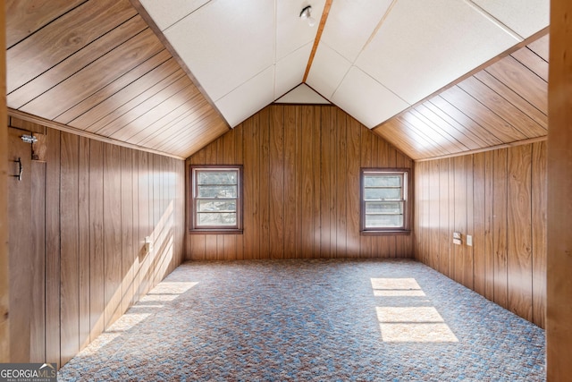 additional living space featuring carpet flooring, wood walls, and plenty of natural light