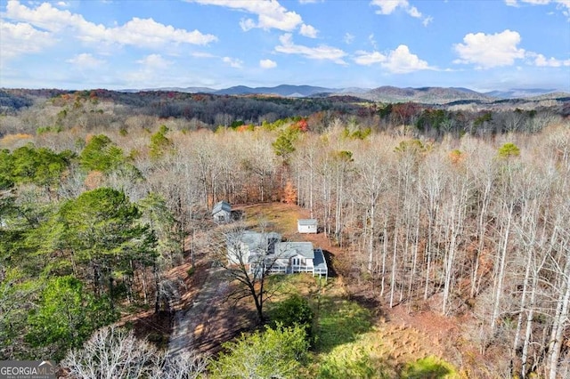 drone / aerial view featuring a mountain view