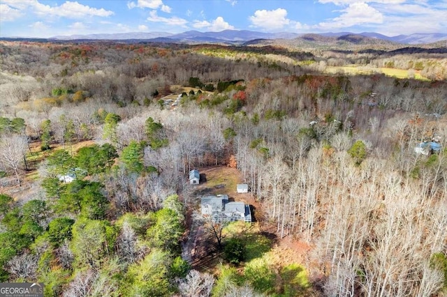 birds eye view of property featuring a mountain view