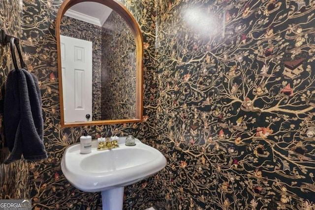 bathroom with sink and crown molding