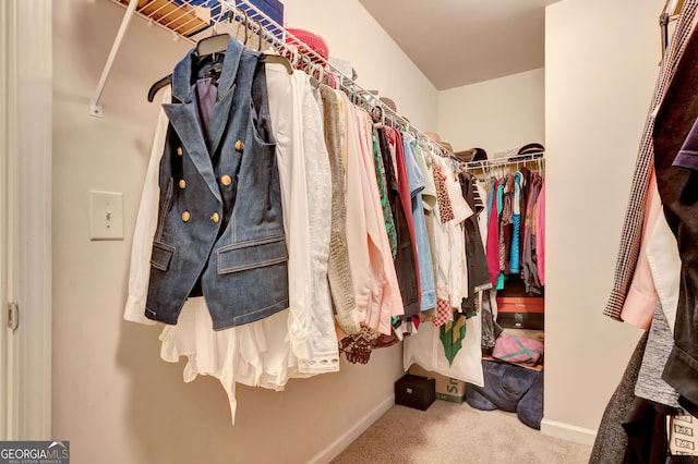 walk in closet featuring carpet flooring