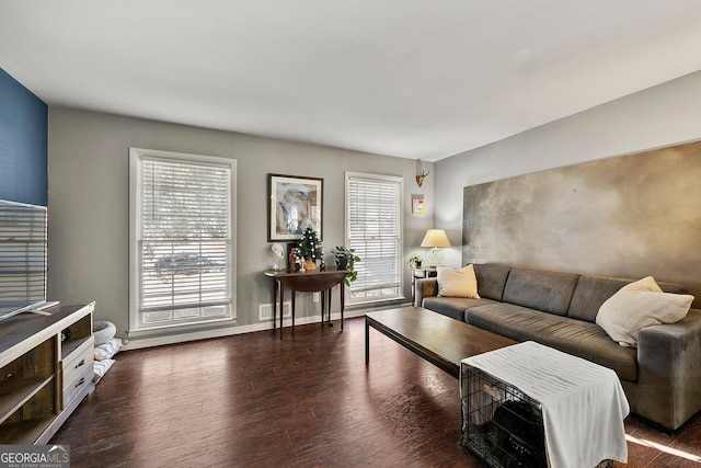 living room with dark wood-type flooring