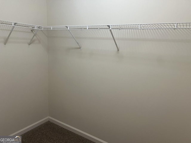 walk in closet with dark colored carpet