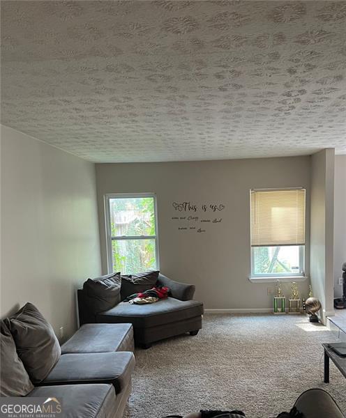 carpeted living room featuring plenty of natural light and a textured ceiling