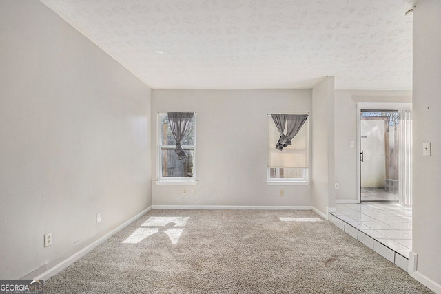 empty room featuring a wealth of natural light, light colored carpet, a textured ceiling, and baseboards