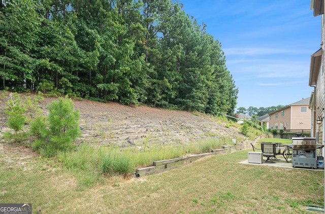 view of yard featuring a patio