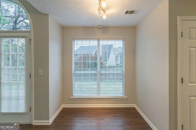 interior space with a wealth of natural light, dark hardwood / wood-style floors, and a textured ceiling