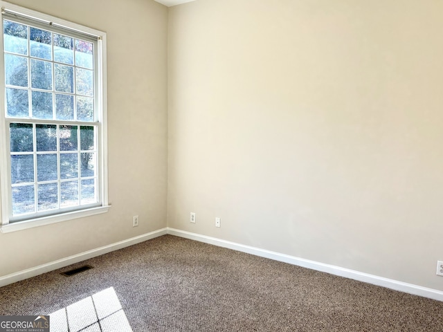 carpeted spare room with a wealth of natural light