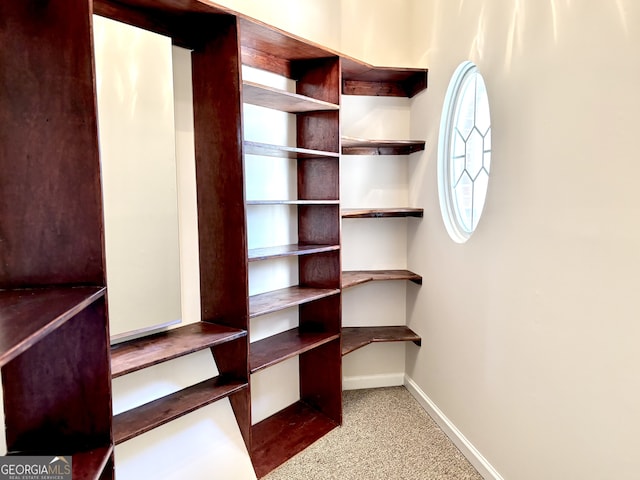 spacious closet featuring light colored carpet