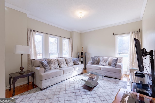 living room with a textured ceiling, light wood-type flooring, a wealth of natural light, and ornamental molding