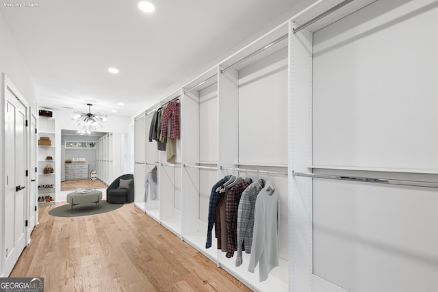 spacious closet with hardwood / wood-style flooring