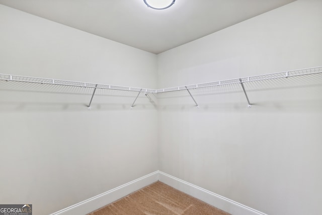 spare room featuring carpet floors and high vaulted ceiling