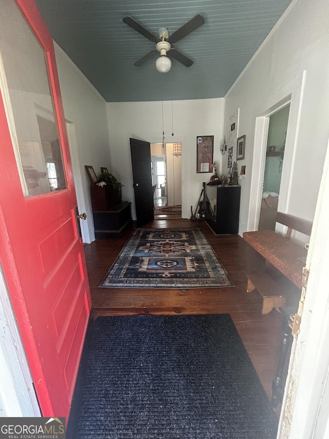 entryway featuring ceiling fan and dark hardwood / wood-style floors