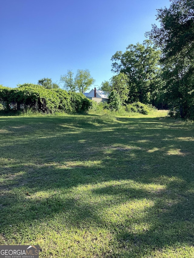 40 Allgood Rd, Carlton, GA 30627 - view of yard