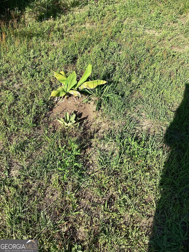 40 Allgood Rd, Carlton, GA 30627 - view of grassy yard