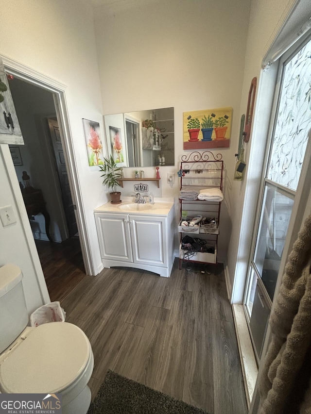 bathroom featuring vanity, toilet, and wood-type flooring