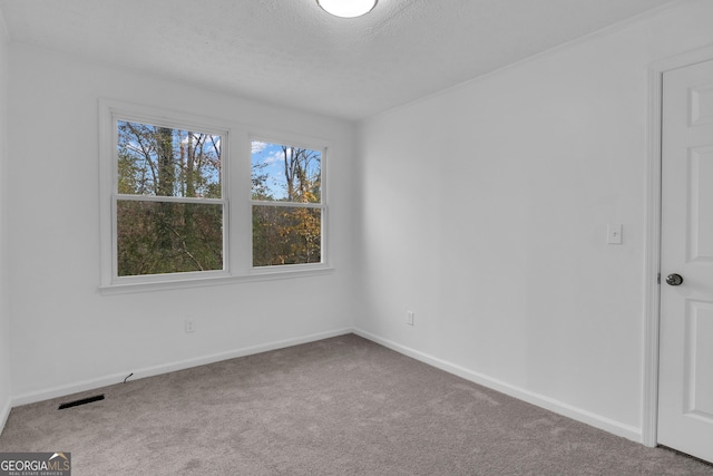 spare room with carpet and a textured ceiling