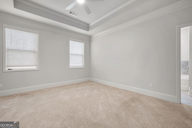 carpeted empty room with ceiling fan, a raised ceiling, and ornamental molding