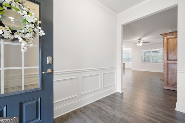 entrance foyer featuring ceiling fan, ornamental molding, and dark wood-type flooring