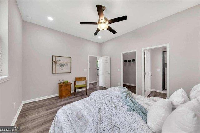 bedroom featuring dark hardwood / wood-style floors, a spacious closet, a closet, and ceiling fan