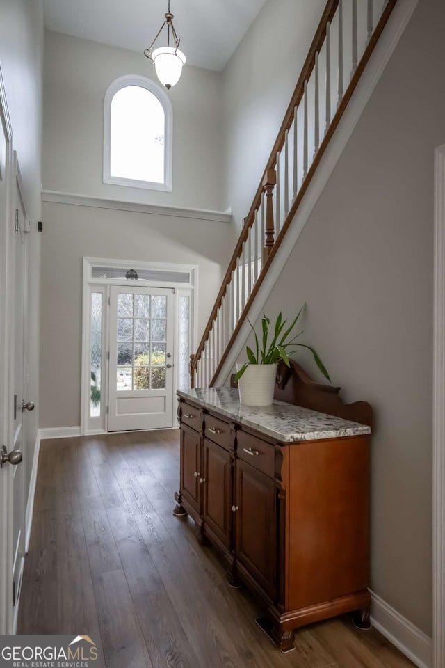 foyer with dark hardwood / wood-style floors