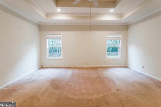 unfurnished room with light carpet, a raised ceiling, and a wealth of natural light