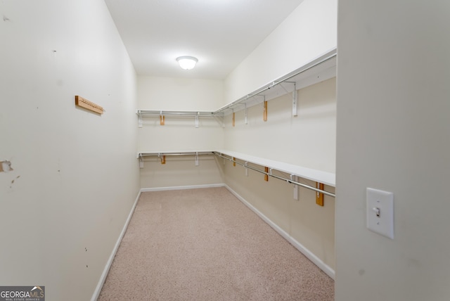 spacious closet with light carpet