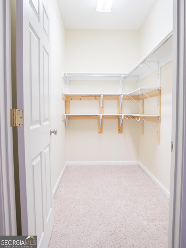 spacious closet with carpet