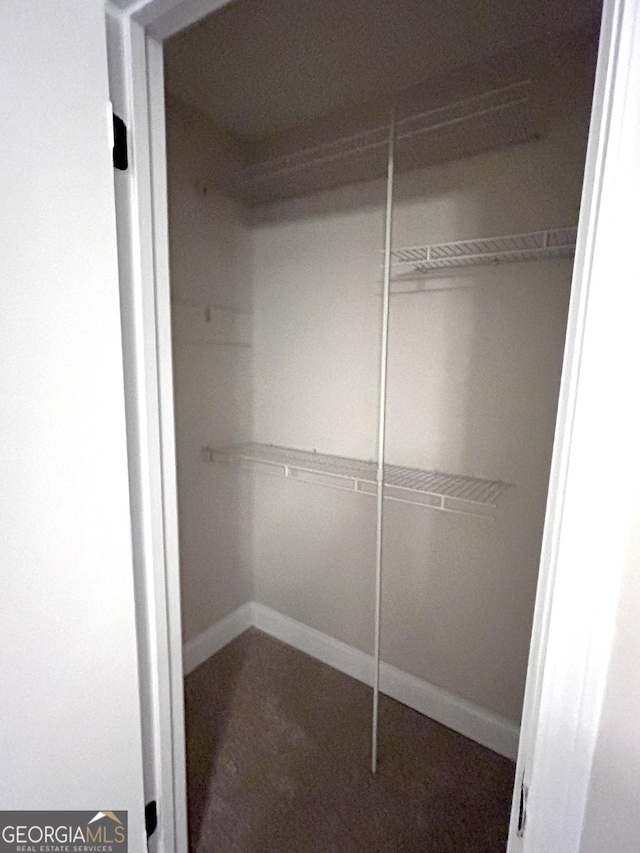 spacious closet with carpet floors