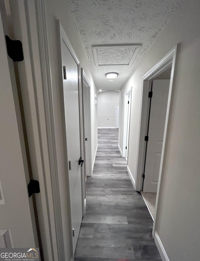 hall with a textured ceiling and hardwood / wood-style flooring