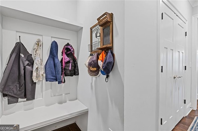 mudroom featuring dark wood-type flooring