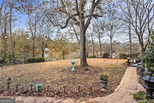 view of yard featuring a water view