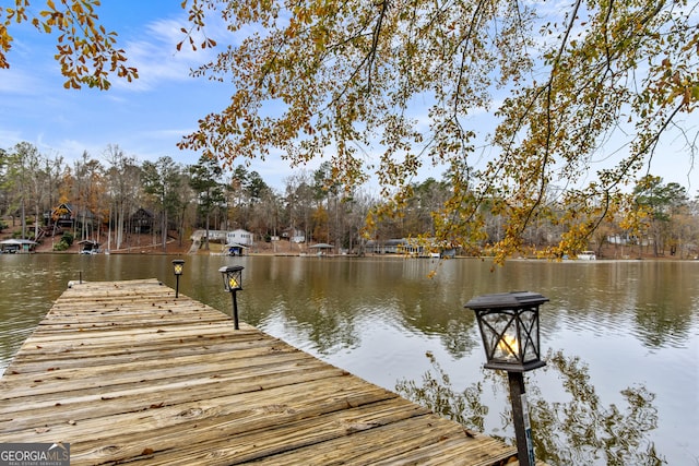 dock area featuring a water view