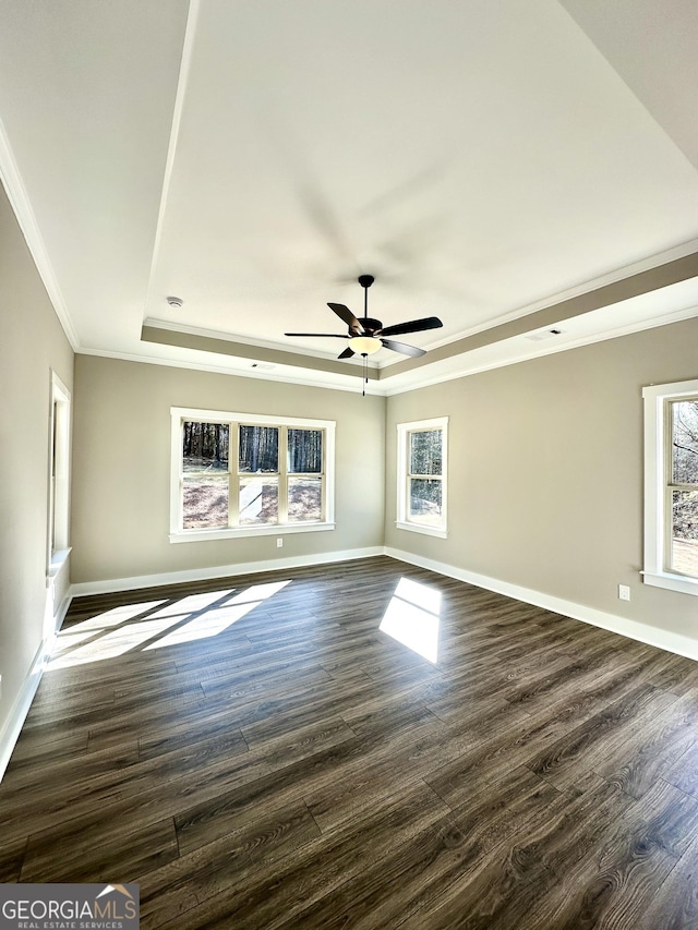 unfurnished room with dark wood finished floors, a raised ceiling, plenty of natural light, and baseboards