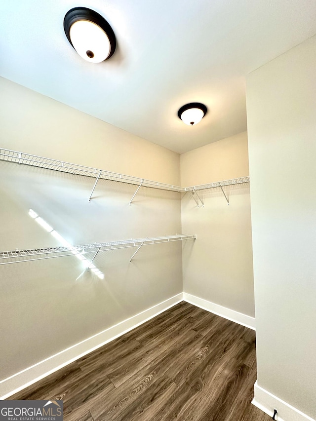 spacious closet featuring dark wood-type flooring