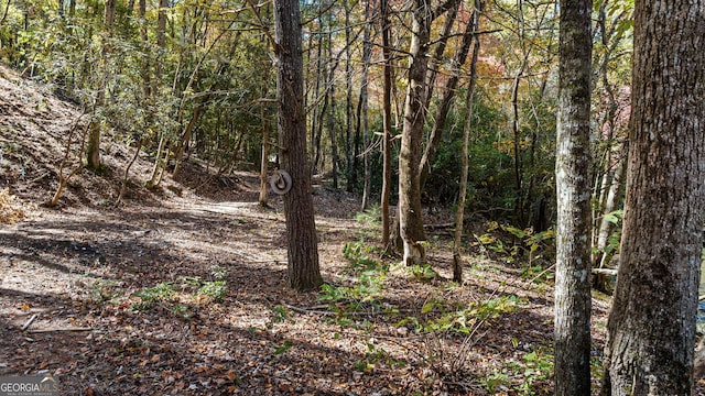 view of local wilderness