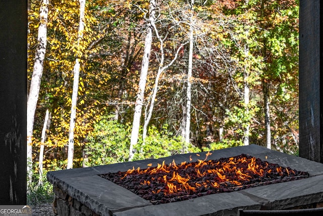 details with a fire pit